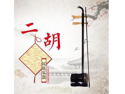 招聘德阳二胡家教老师